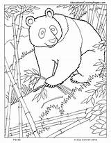 Mammal Coloring Pages Getcolorings Color sketch template
