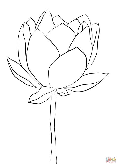 rozmalovka kvitka lotosa rozmalovki dlya ditey druk onlayn
