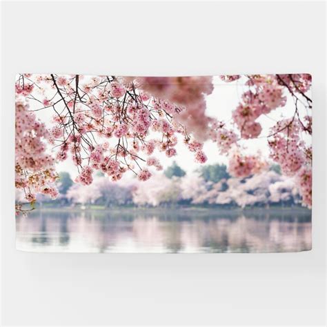 cherry blossoms banner zazzle blooming trees cherry blossom blossom trees