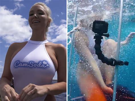 porn star bitten by shark while filming underwater scene