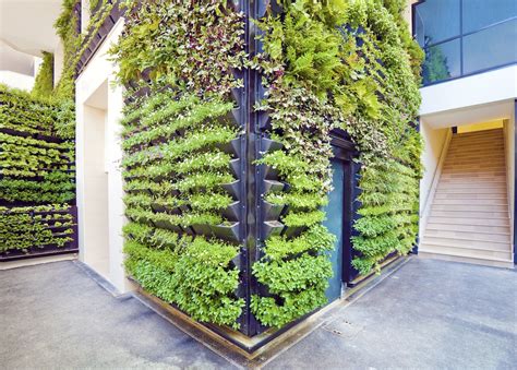 vertikal green wall vertical garden freestanding green wall system apex office plants