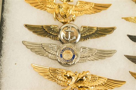 Large Group Of Us Navy Wings And Badges Incl Flight Surgeon Reo And