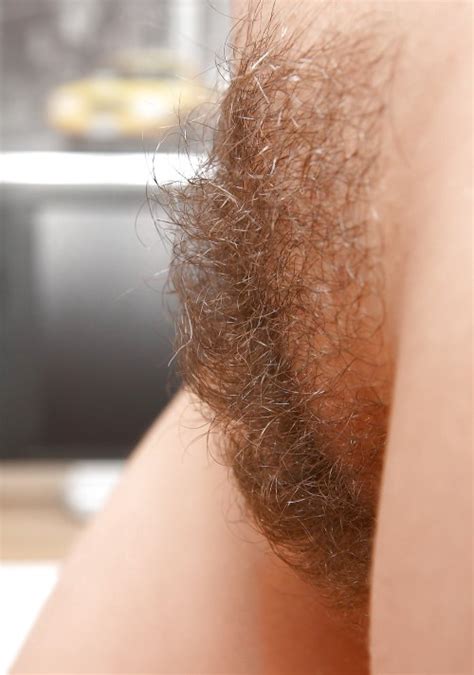 beautiful trimmed hairy pussy sex picture club