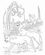 Coloring Pages Coyote Printable Animal Kids sketch template