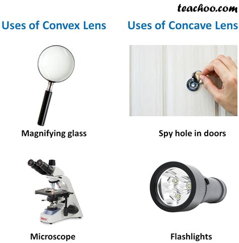 concave  convex lens convex  concave lenses hot sex picture
