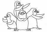 Madagascar Coloring Penguins Pages Printable Color sketch template