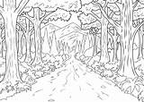 Foresta Pluviale Colorare Disegni Adulti sketch template