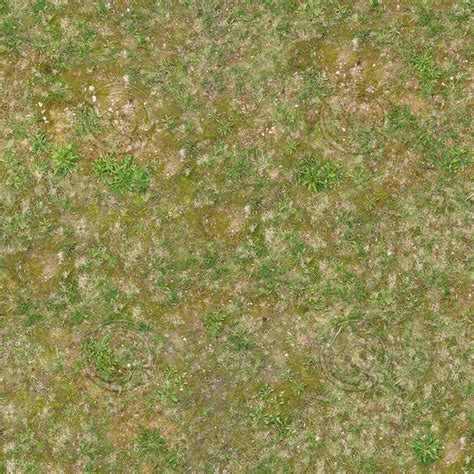 texture jpeg ground grass seamless