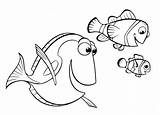 Fische Ausmalbilder Nemo Malvorlagen Dory Fisch Ausmalen Vorlagen Drucken Malvorlage Unterwasserwelt Kinder sketch template
