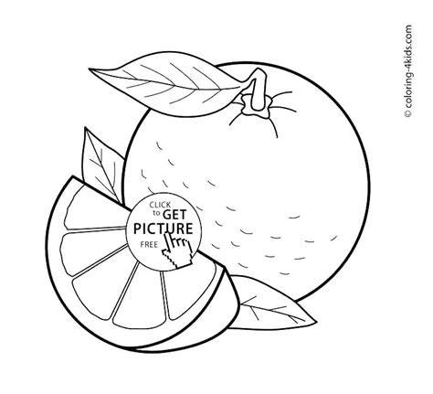 vegetable basket coloring pages coloring pages  fruits   basket