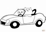 Car Cat Coloring Pages Drives Printable Cats Drawing Clipartmag sketch template