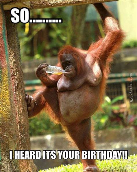 85 Funny Sexy Birthday Meme That Will Make You Lose Your Mind With