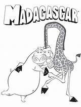 Madagascar Gloria Melman Madagaskar Malvorlagen Colorare Colorier sketch template