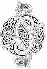 Celtic Coloring Pages Mandala Printable Adults Adult Dragon Knots Designs Knot Tattoo Deviantart Dragons Color Mandalas Viking Patterns Book Google sketch template