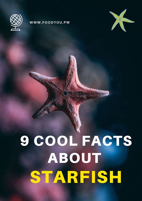 cool facts  starfish starfish facts starfish facts  kids