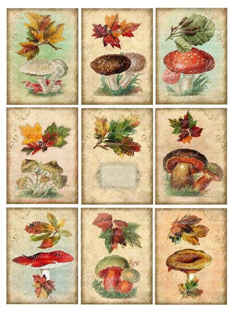 items similar  digital collage sheet vintage fall autumn mushrooms