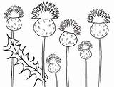 Colouring Thistles Haggis sketch template