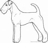 Airedale Terrier sketch template