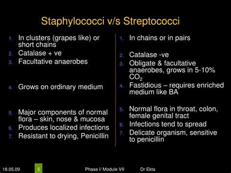 Ppt Medically Important Bacteria Gram Positive Cocci