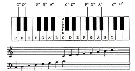 task  piano notes