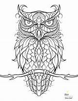 Coloring Owl Snowy Pages Color Getcolorings sketch template