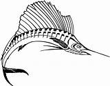 Swordfish Marlin Sailfish Mewarnai Coloring4free Cliparts Clipartpanda Designlooter Dekoratif Sketsa Sheets Coloringbay Clipartmag Clipground sketch template