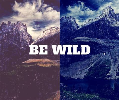 wild wild logo rving