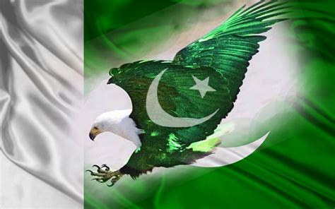 amazing lesser  facts  pakistan happy independence day