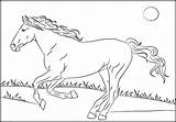 Mustang Horse Pages Coloring Horses Rearing Color Printable Getcolorings sketch template