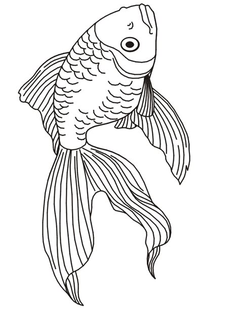 goldfish coloring pages realistic coloring pages