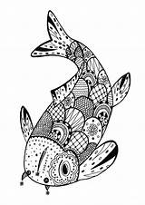Zentangle Adulte Coloriages Poisson sketch template