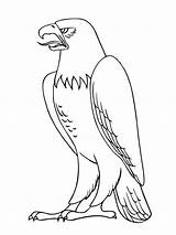 Bald Coloring Pages Eagle Eagles Printable Kids sketch template
