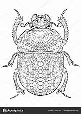 Scarab Beetle Vector Zentangle Escarabajo Escarabajos Coloring4free Egipcio Adultos Ilustración Stress Gograph sketch template