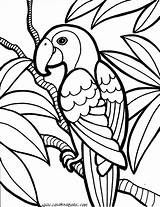 Coloring Pages Medium Getcolorings Printable Color sketch template