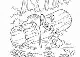 Bambi Thumper Coloring4free sketch template
