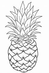 Pineapple Coloring Pages Line Template Fruit Drawings Printable Drawing Easy Pinapple Cute Print Sheets Adult Fruits Choose Board sketch template