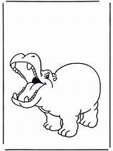 Nijlpaard Dieren Advertentie sketch template