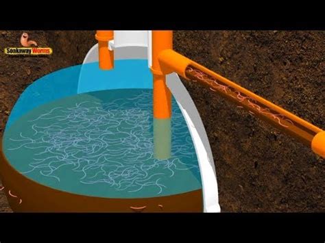 soakaway worms fix   septic tank problems youtube
