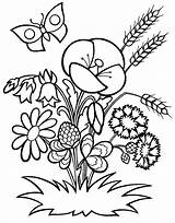 Ru Embroidery Coloring источник sketch template