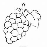Uvas Uva Grape Grapes Thenounproject Ultracoloringpages sketch template