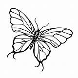 Vlinders sketch template