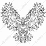 Coloring Pages Adult Adults Owl Zentangle Book Animal sketch template