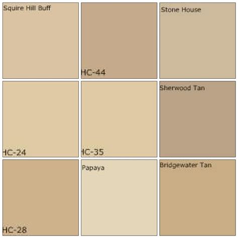 fluidr beige tan paint designers favorite colors  sarahkaron
