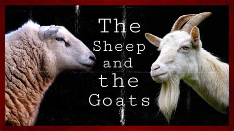 The Sheep And The Goats