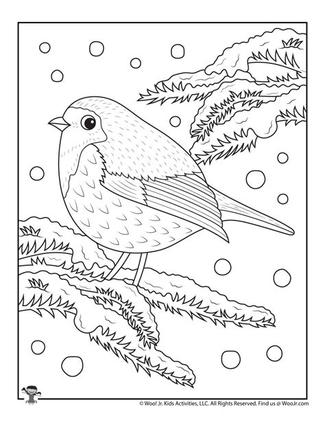 winter snow bird coloring page  adults woo jr kids activities