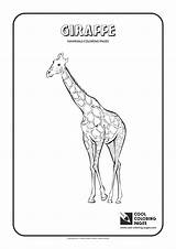 Giraffe Coloring Pages Cool Kids Print sketch template