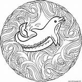 Coloring Mandala Pages Animals Animal Printable Dolphin Popular sketch template