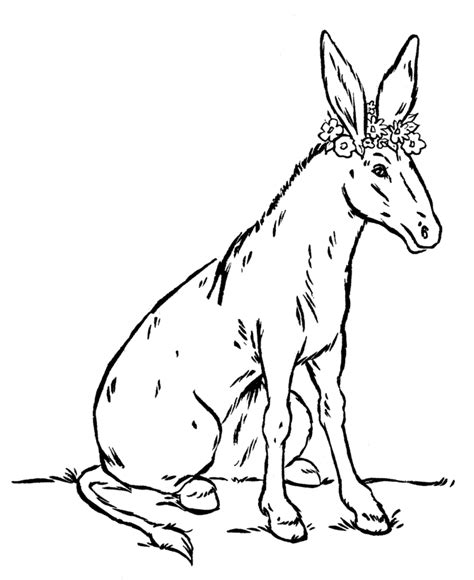 cute donkey coloring page karlinhacolucci