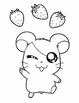 Coloring Hamtaro Pages Maxwell Template sketch template