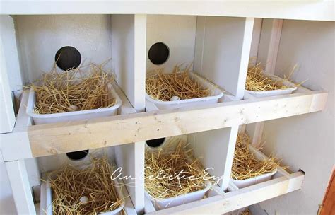 chicken nesting boxes plans   diy  weekend